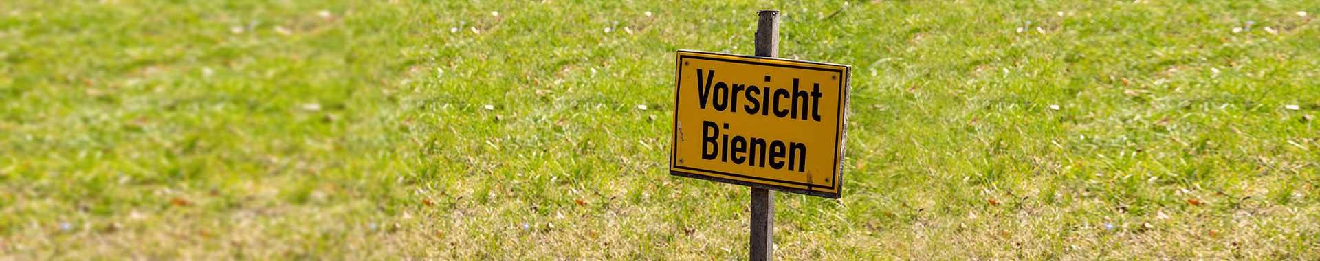 Vorsicht Bienen