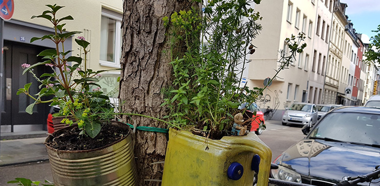 Aus grau mach’ bunt Guerilla Gardening nearBees