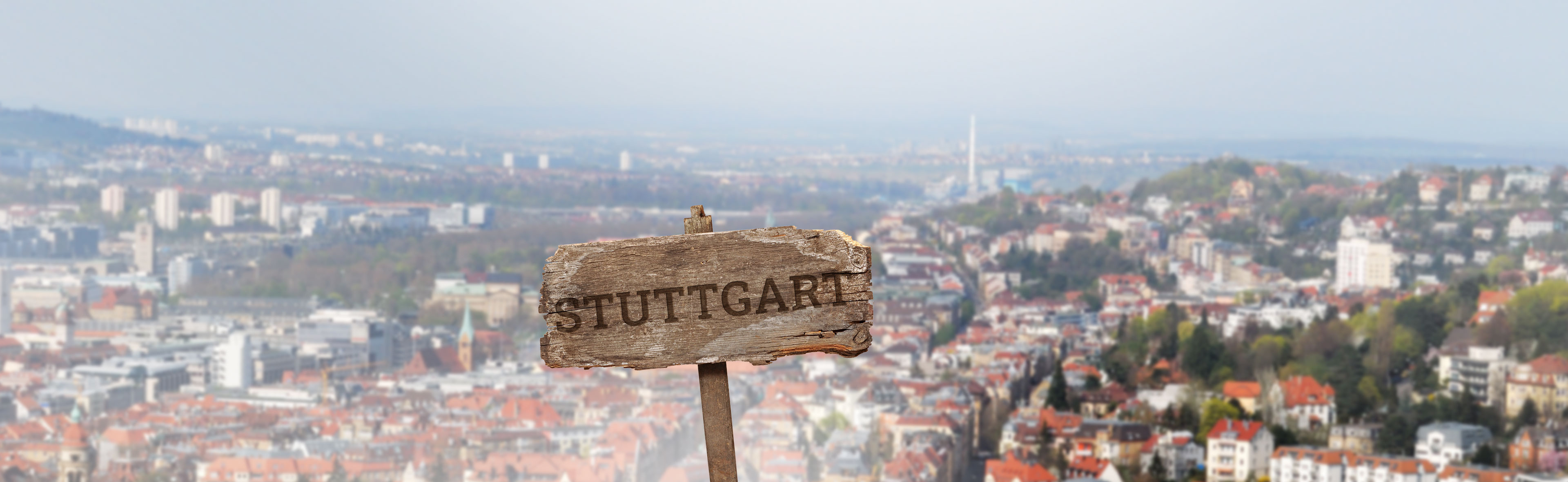 Bienenpatenschaft Stuttgart