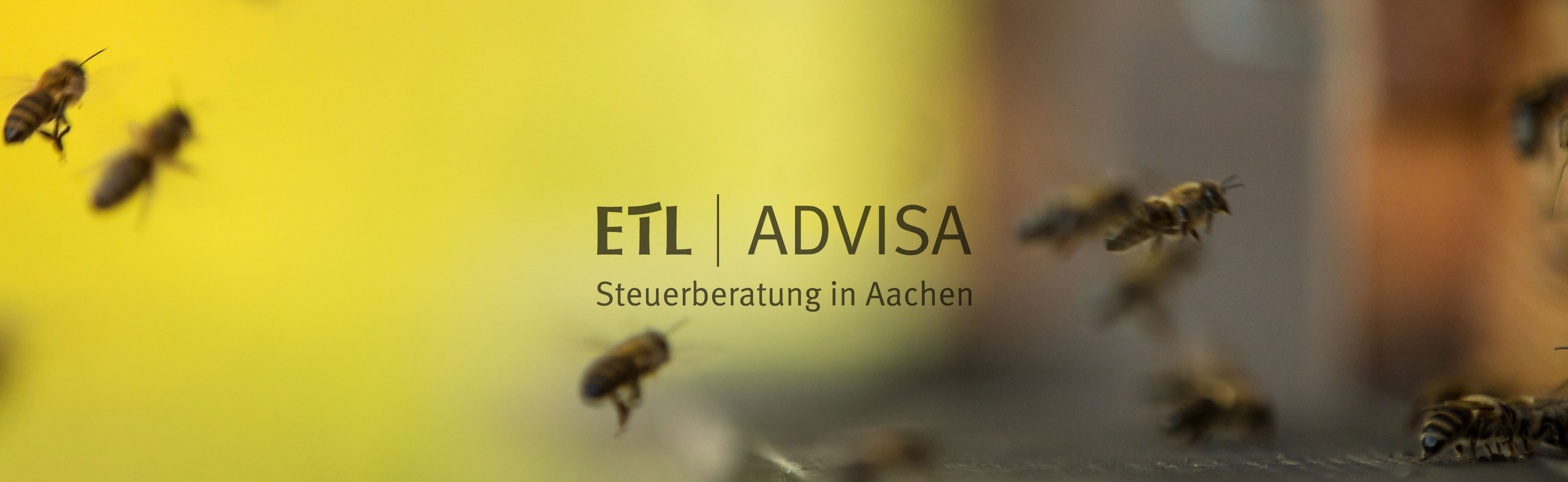 Bienenpatenschaft ADVISA Aachen