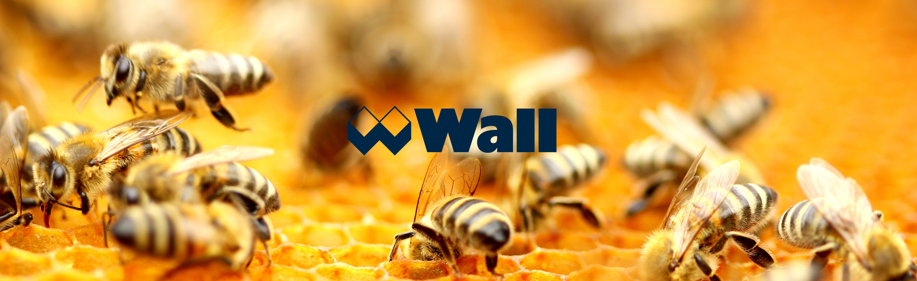 Bienenpatenschaft Wall