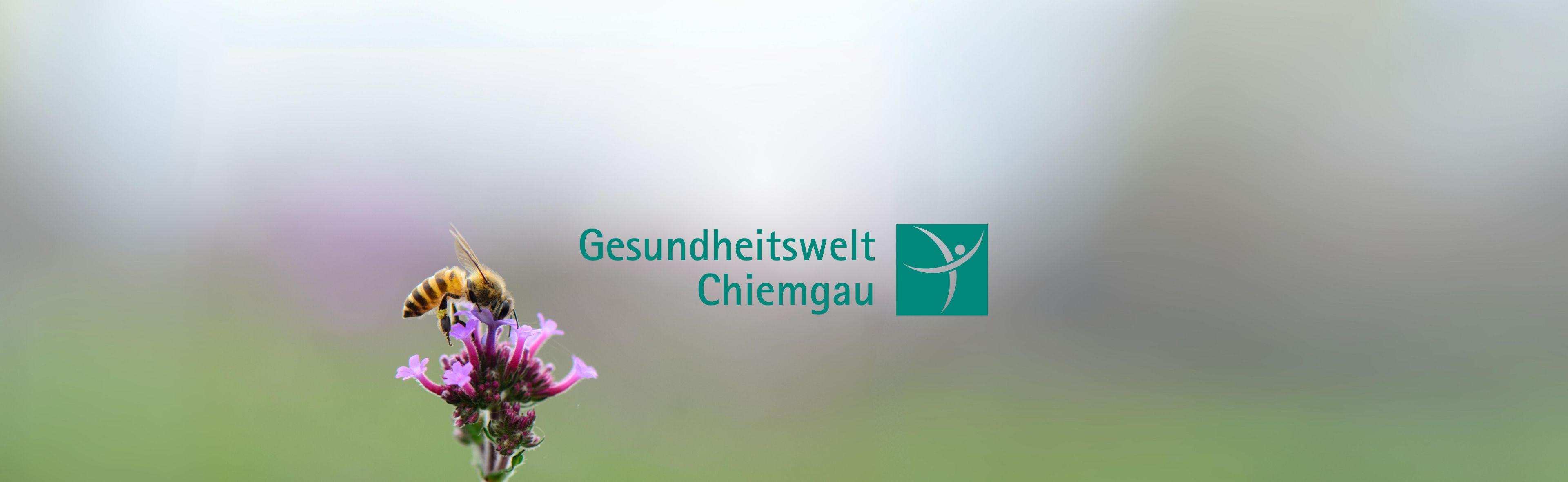 Bienenpatenschaft Gesundheitswelt Chiemgau