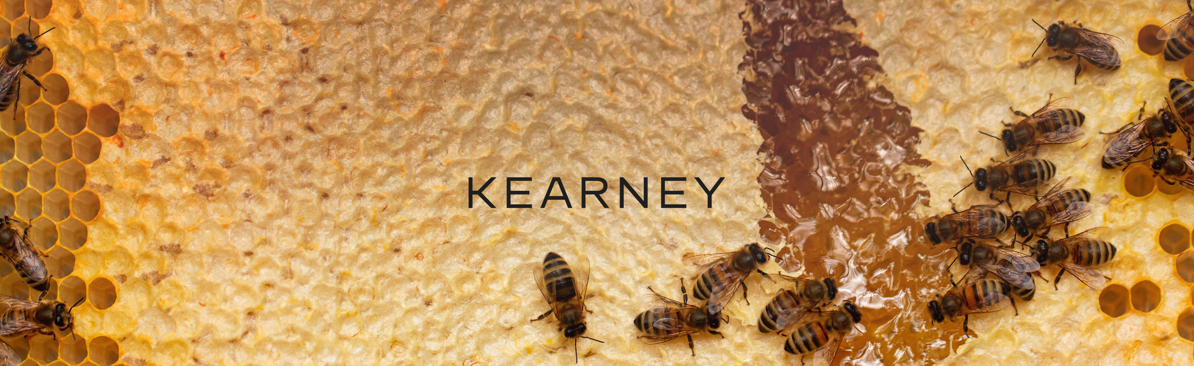 Bienenpatenschaft Kearney