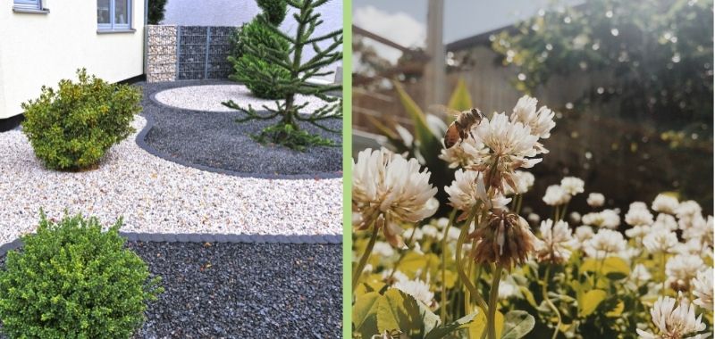 Steinwüste vs. Bienen im Garten