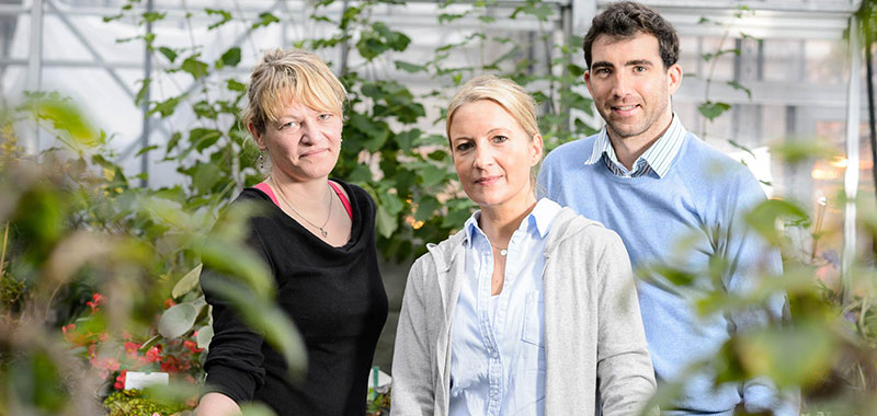 Das Team von Greenlab