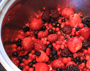 Beeren für die Honig-Gummibärchen