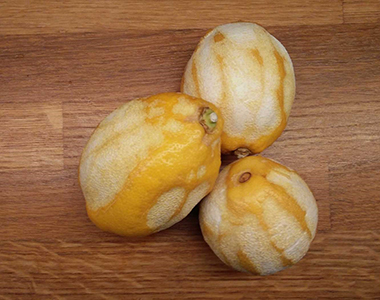 Zitronen für den Honiglikör