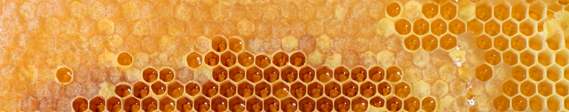 Heimischer Honig