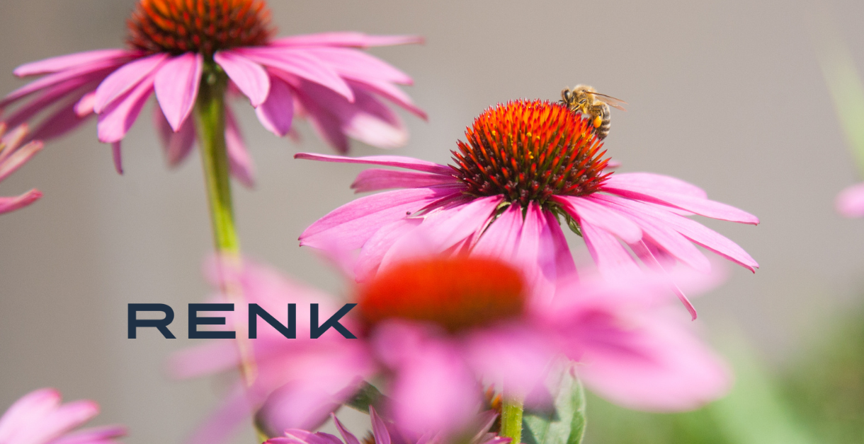 Die Patenbienen von RENK
