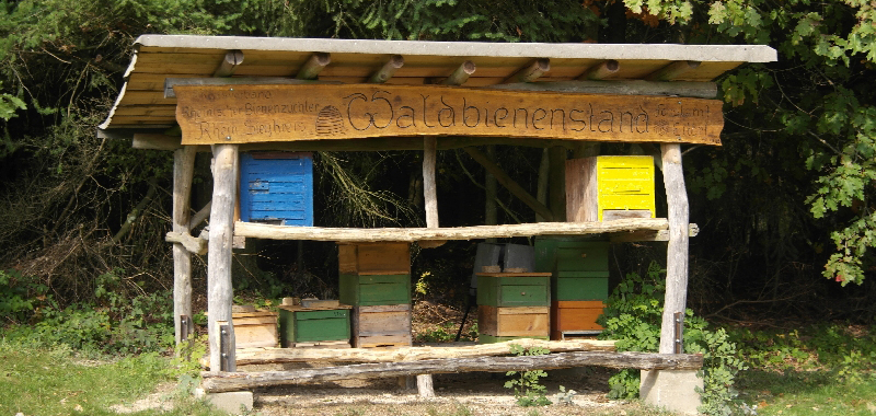 Waldbienenstand