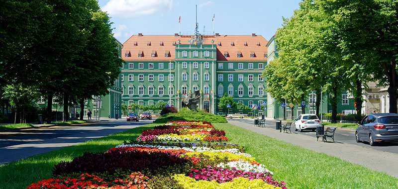 Allee mit Blumenbeeten