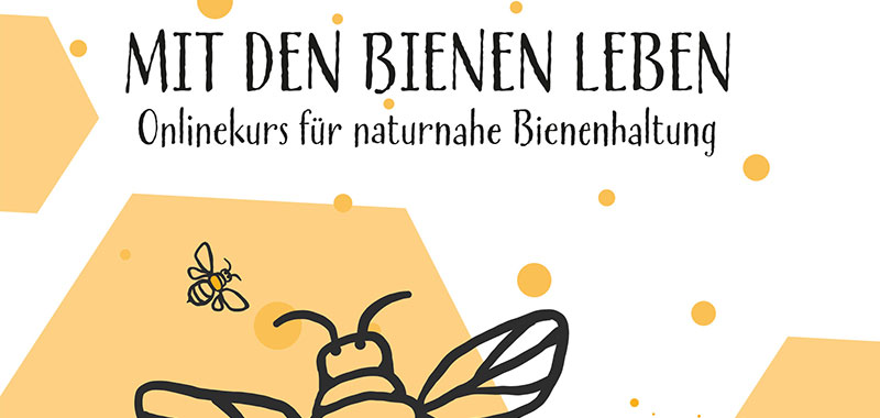 Mit den Bienen leben - Onlinekurs für naturnahe Bienenhaltung