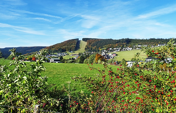 Eine Bergwiese im Sauerland