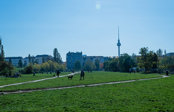 Berliner Park mit Fernsehturm im Hintergrund