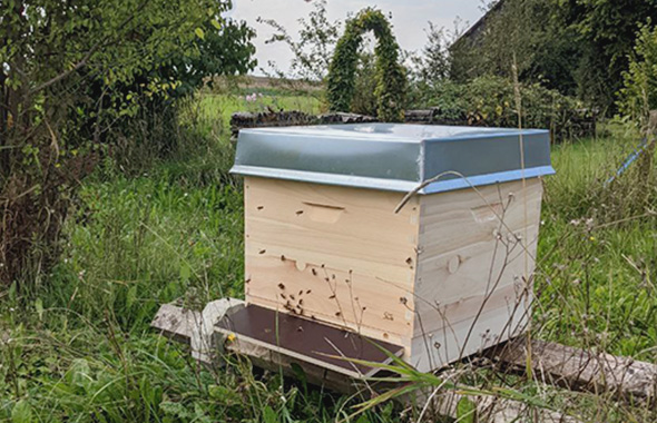 Das Zuhause des GartenHaus Bienenvolkes