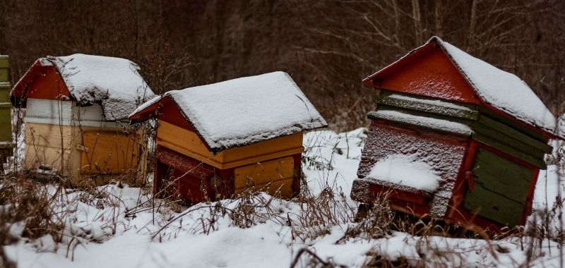 Beuten im Winter