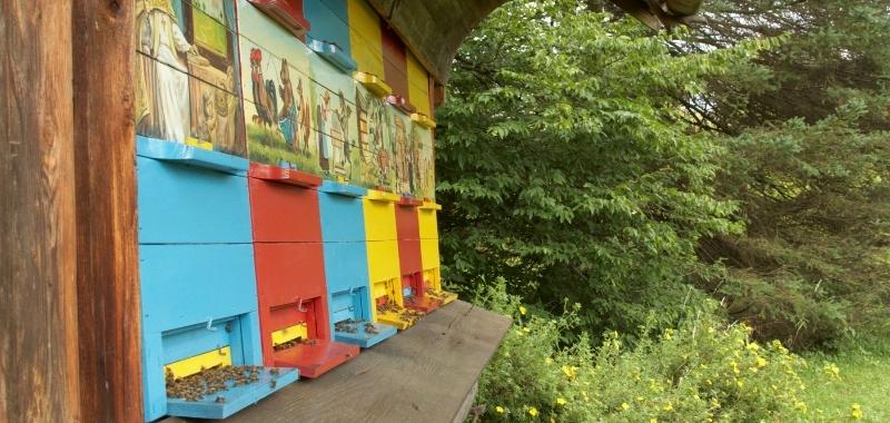 Buntes Bienenhaus in Slowenien