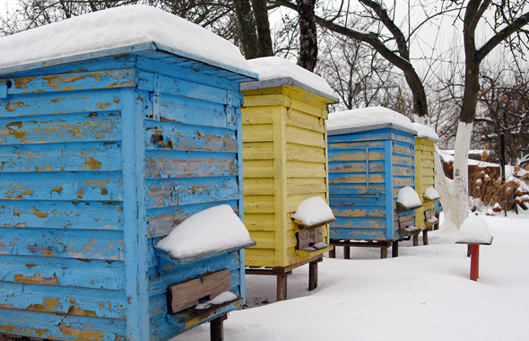 Bunte Bienenbeuten im Schnee