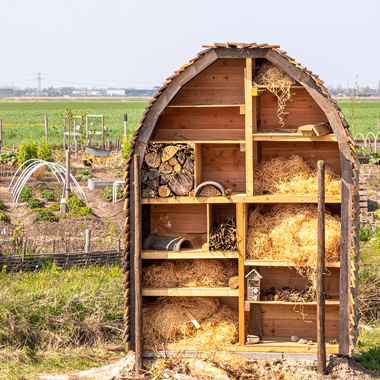 Ein Wildbienenhotel in einem Garten