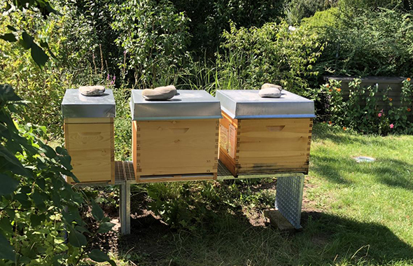 Standort der Patenbienen