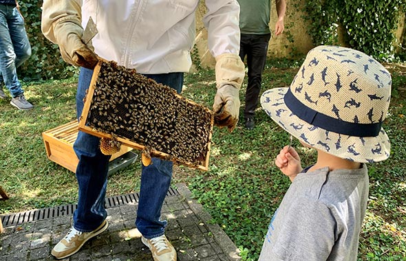 Besuch bei den Patenbienen