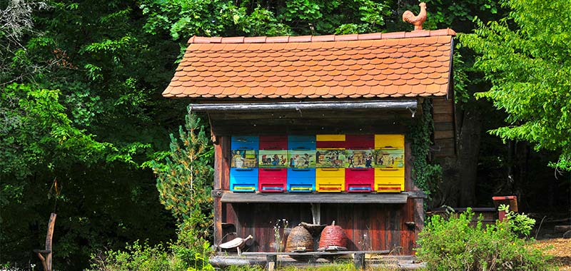 Buntes Bienenhaus in Slowenien