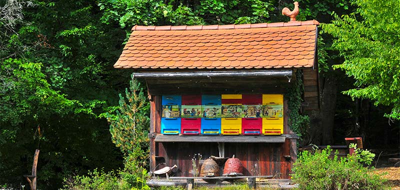 Buntes Bienenhaus in Slowenien