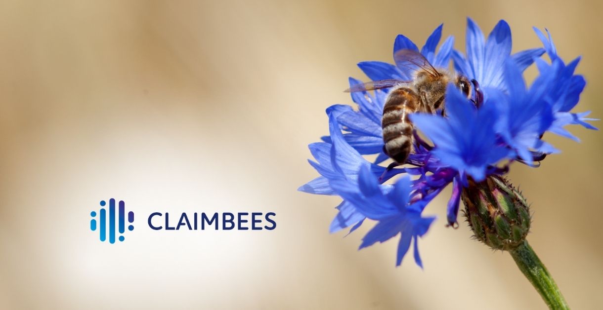 Claim Bees Bienenpatenschaft