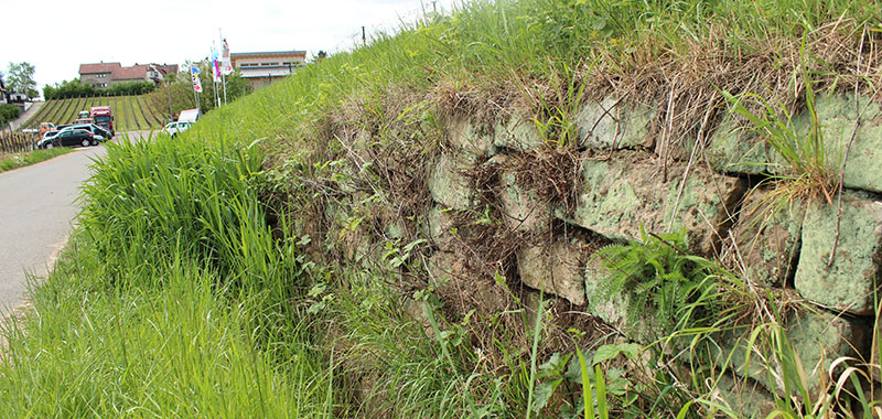 Eh da Flächen Steinmauer