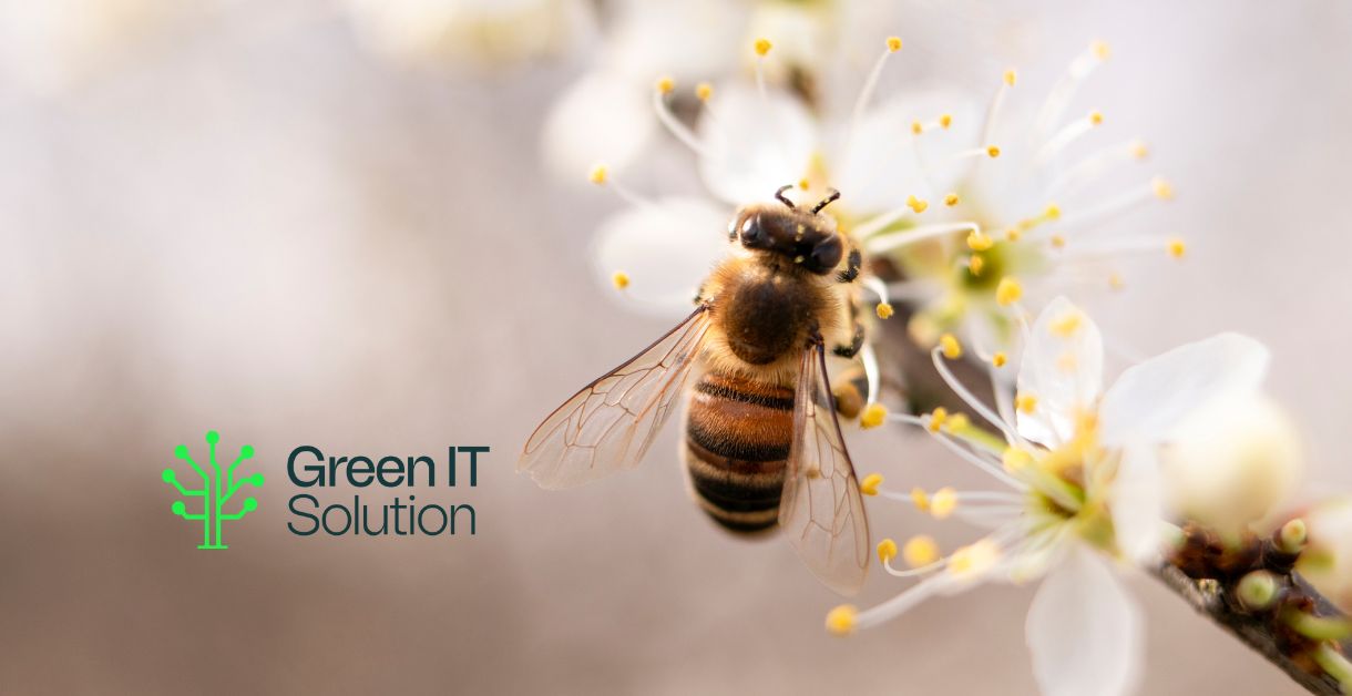 Green IT Solution Bienenpatenschaft