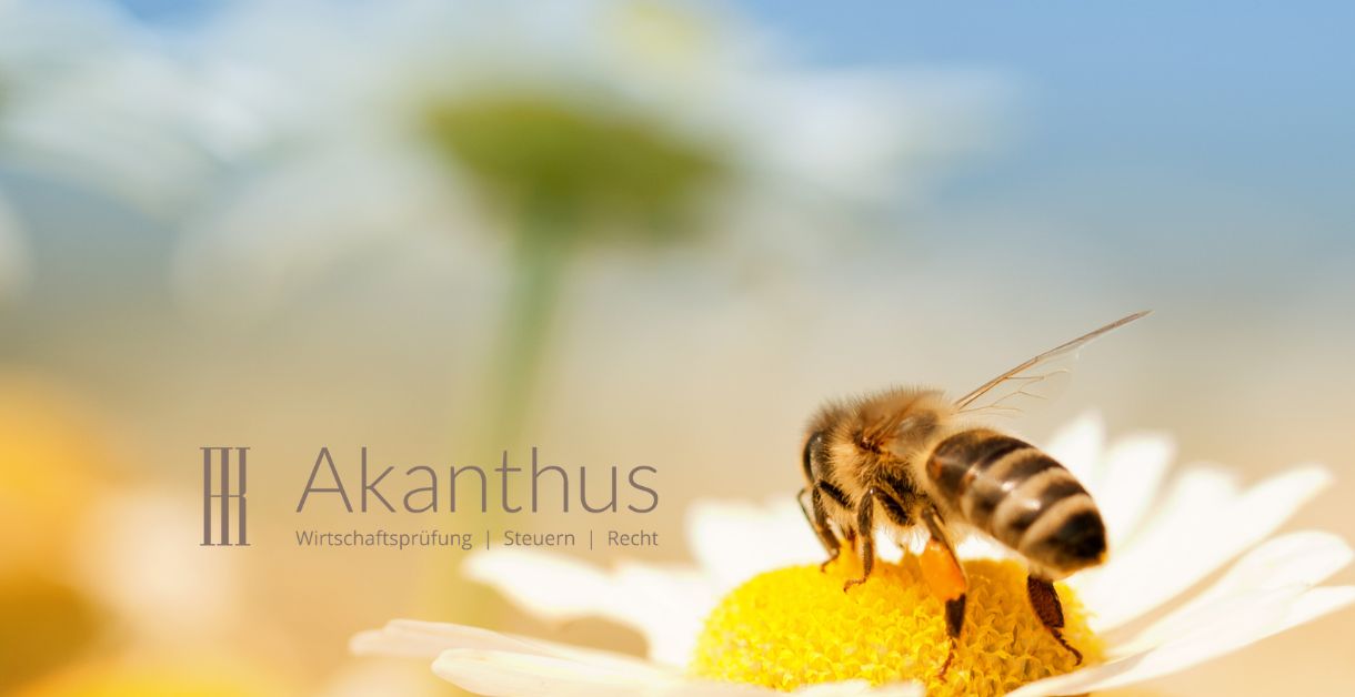 Akanthus Bienenpatenschaft