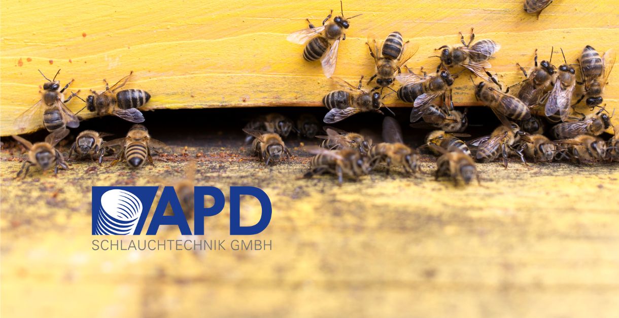 Bienenpatenschaft APD