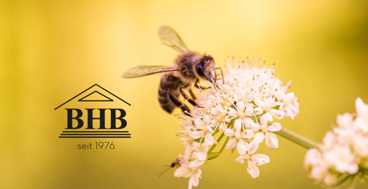 Bienenpatenschaft BHB Unternehmensgruppe