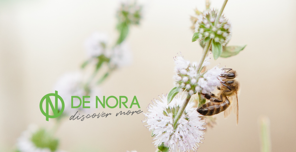 De Nora Bienenpatenschaft