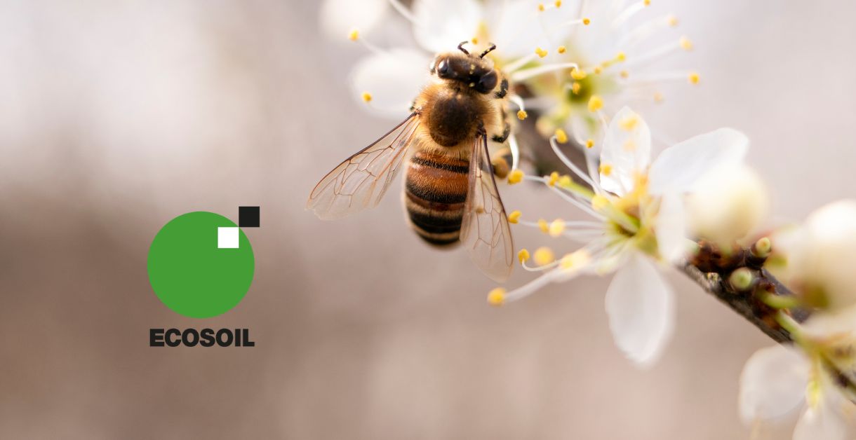 ECOSOIL Bienenpatenschaft