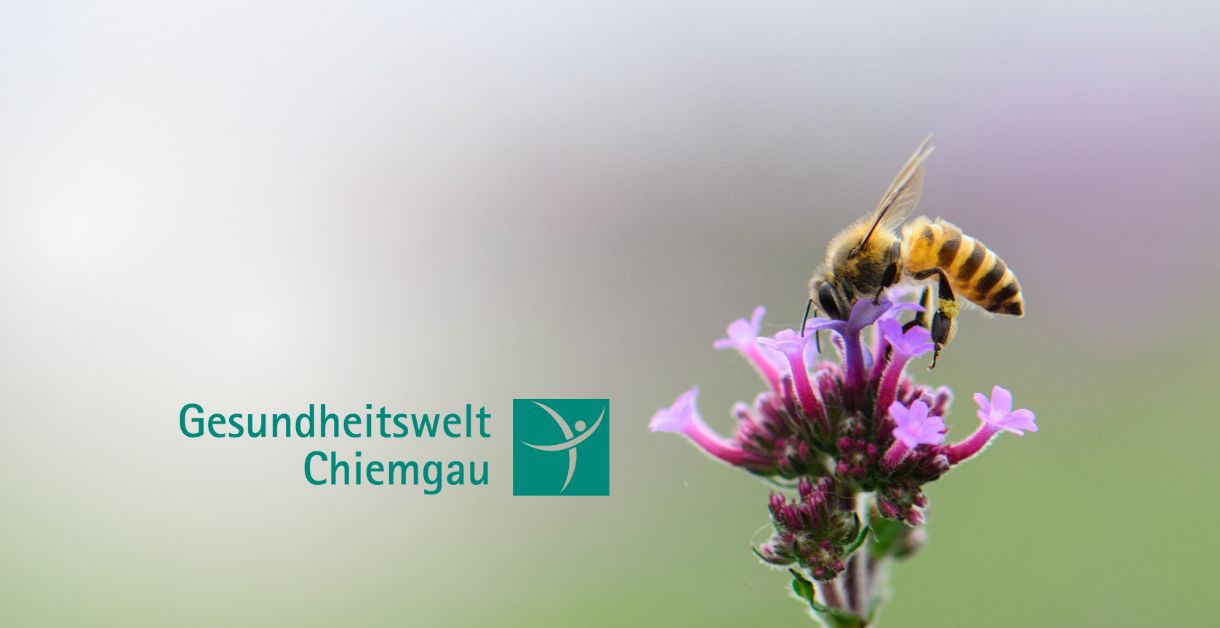 Gesundheitswelt Chiemgau Bienenpatenschaft