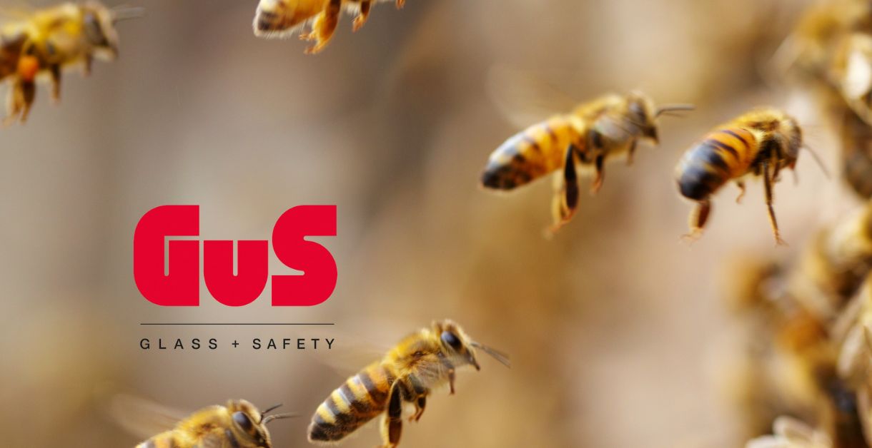 Firmenbienen GuS Glass and Safety Teaserimage