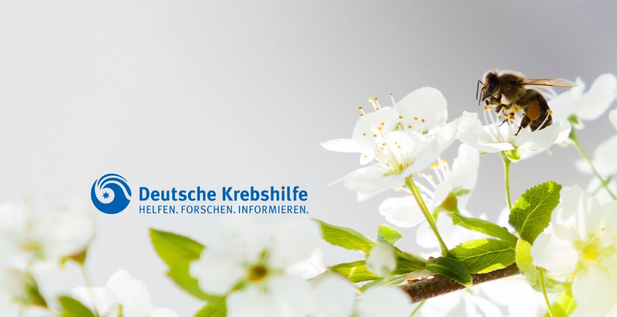 Deutsche Krebshilfe Bienenpatenschaft