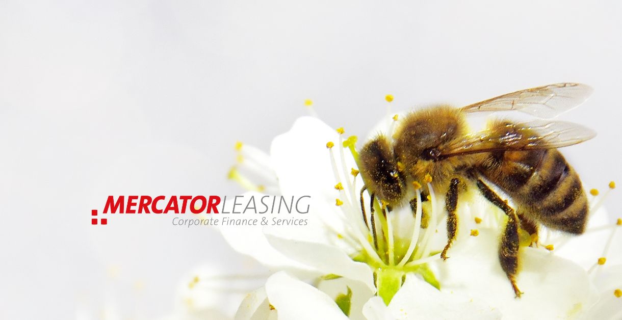 Firmenbienen MLF Mercator-Leasing