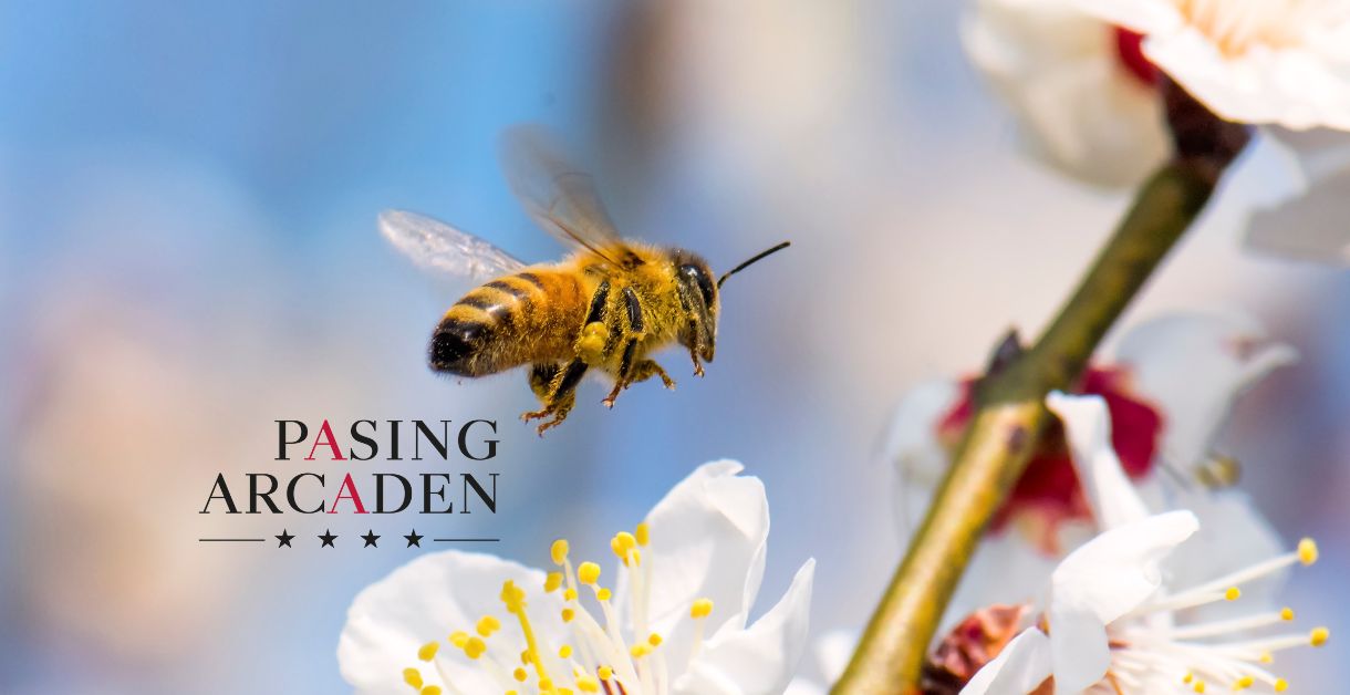 Die Firmenbienen der Pasing Arcaden