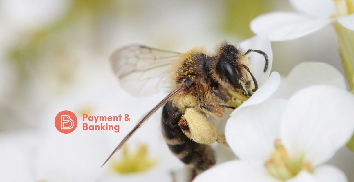 Die Firmenbienen von Payment & Banking