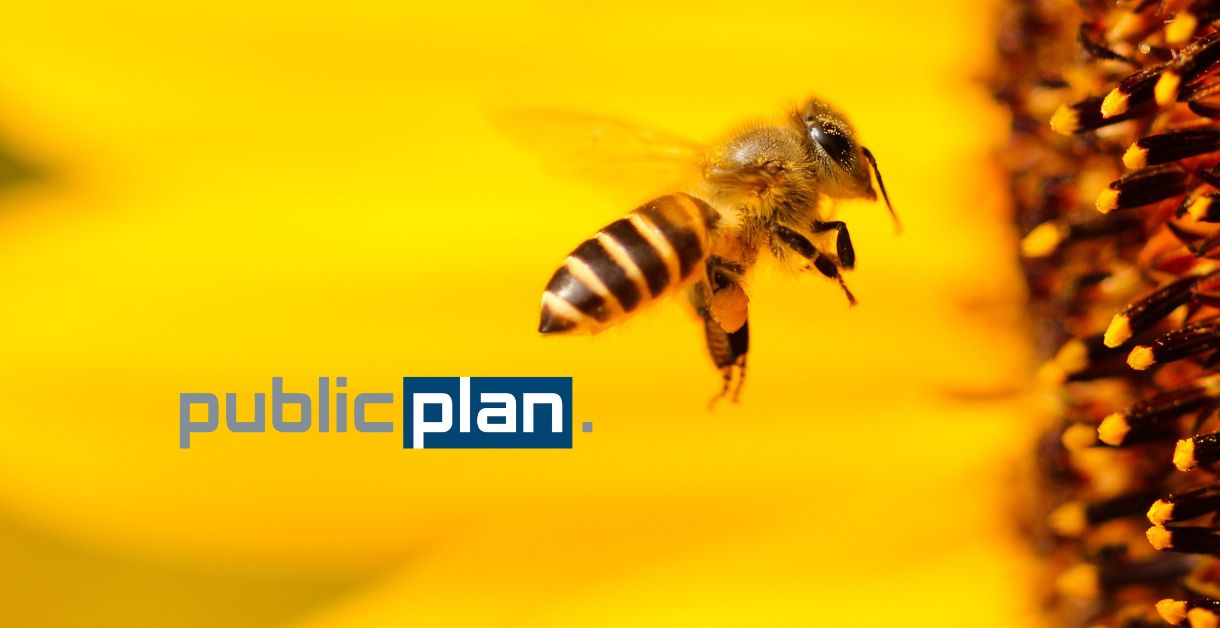 Die Firmenbienen von publicplan