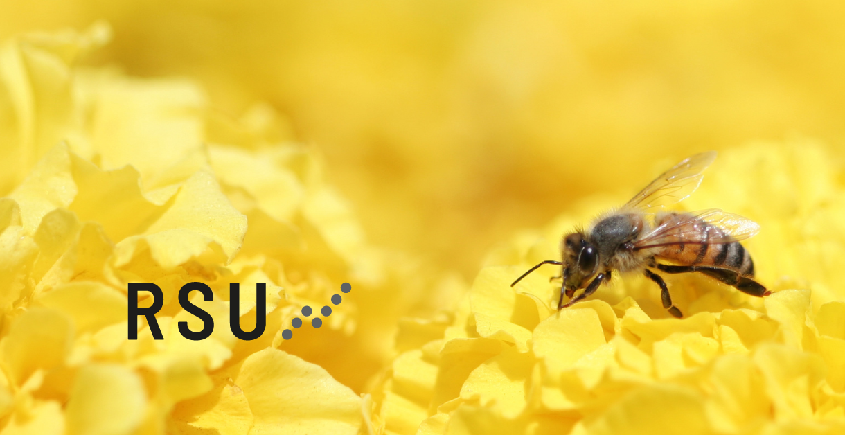 Die RSU Patenbienen