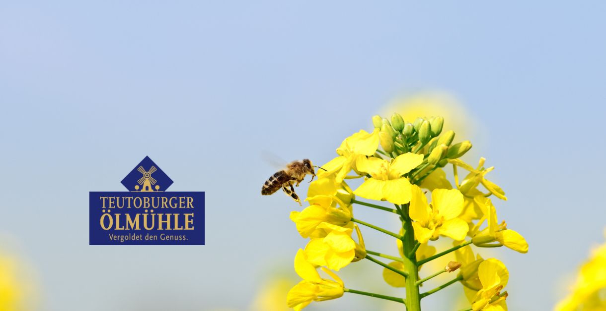 Teutoburger Ölmühle Bienenpatenschaft