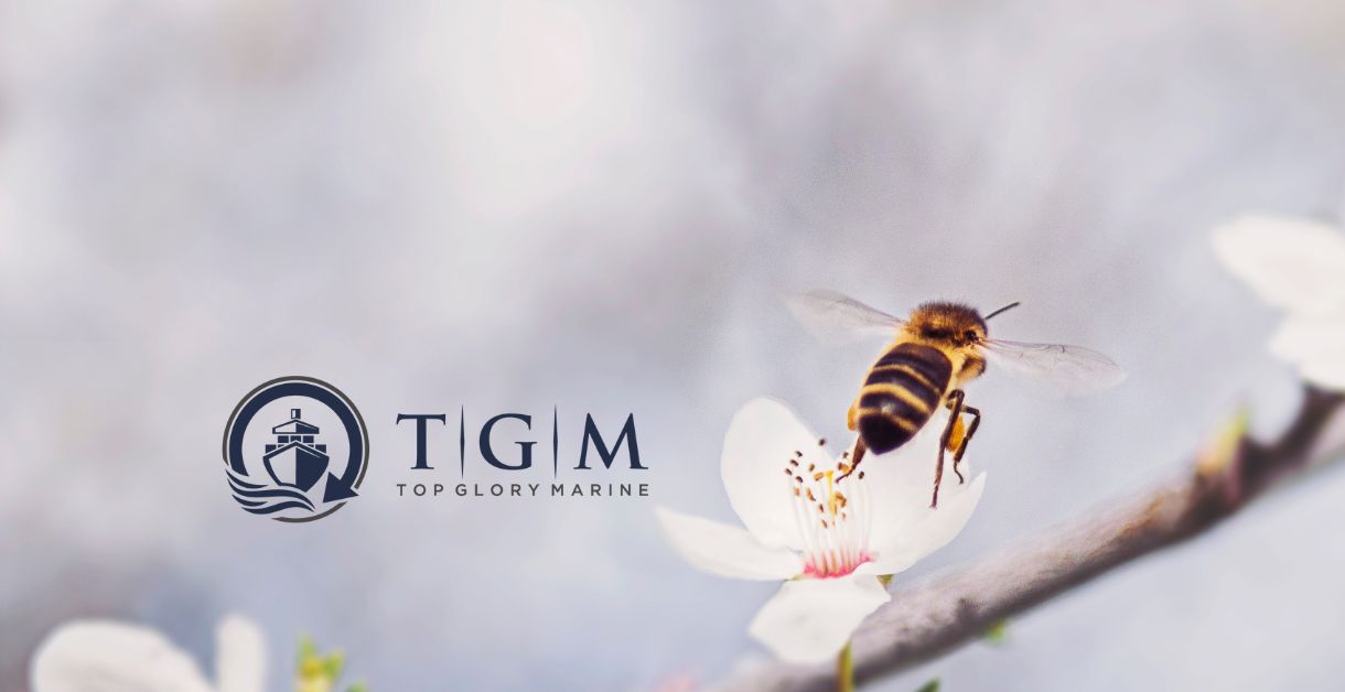Firmenbienen Top Glory Marine Teaserimage