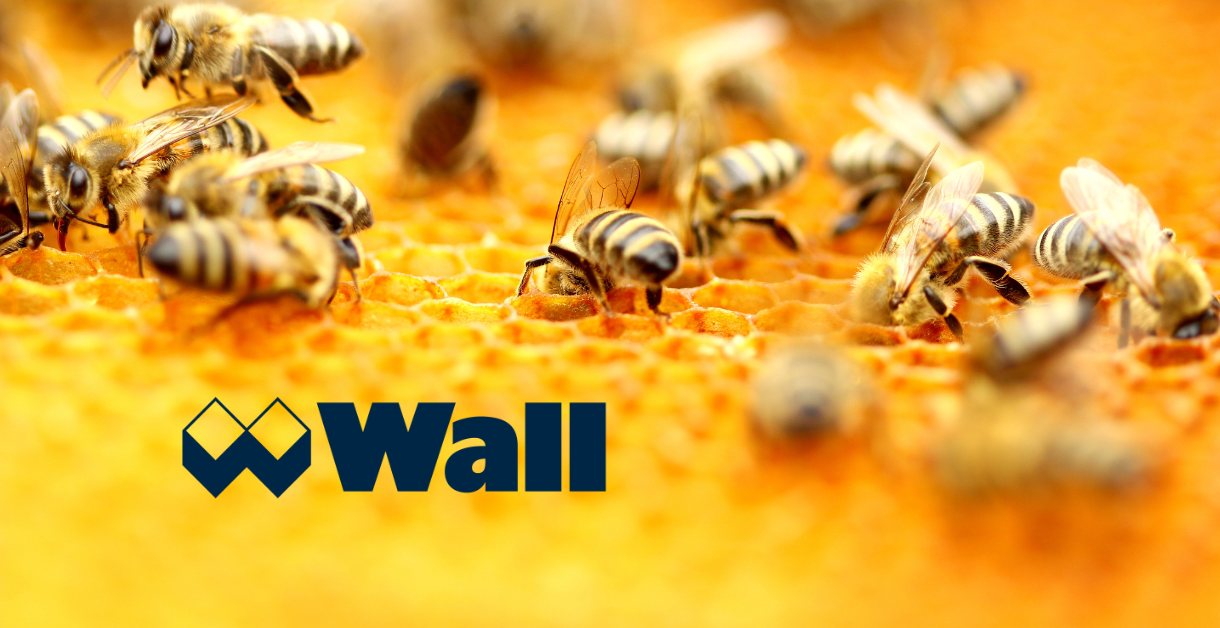 Wall Bienenpatenschaft