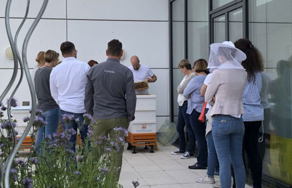 Besuchstermin: Gemeinsam mit dem Imker bei den FTI Patenbienen