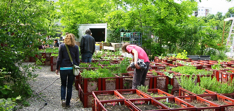 Garten in Berlin-Kreuzberg