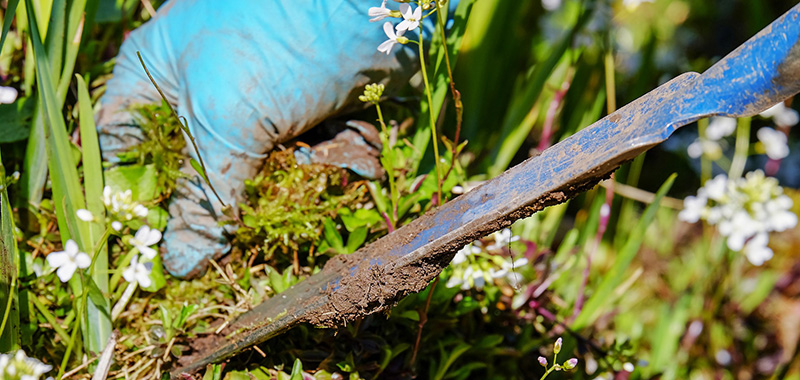 Gartenarbeit