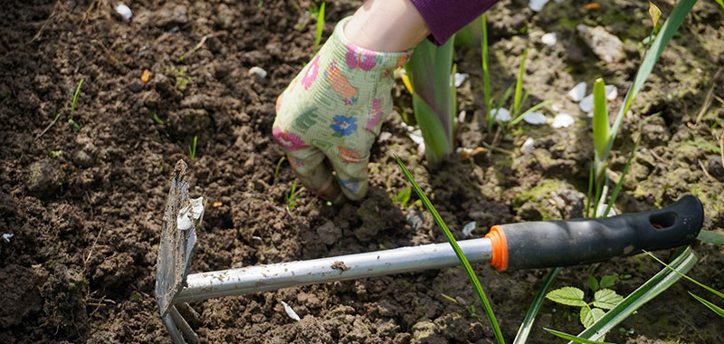 Gartenarbeit mit Harke